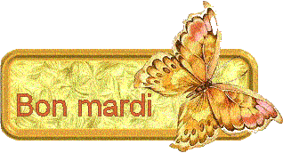 Gif animé Bon mardi papillon